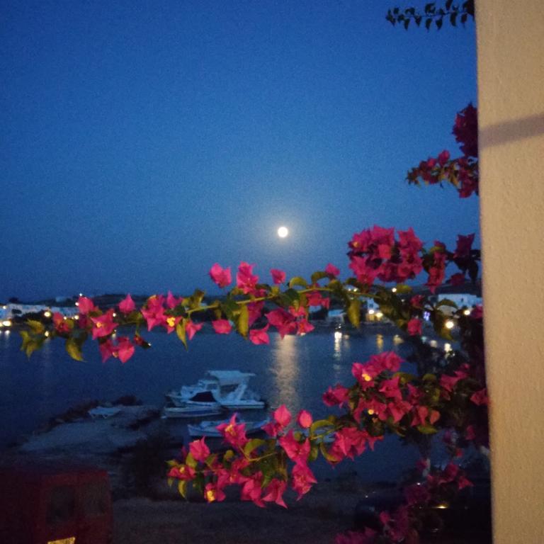 Hotel Bocamviglies By The Sea Naousa  Exterior foto