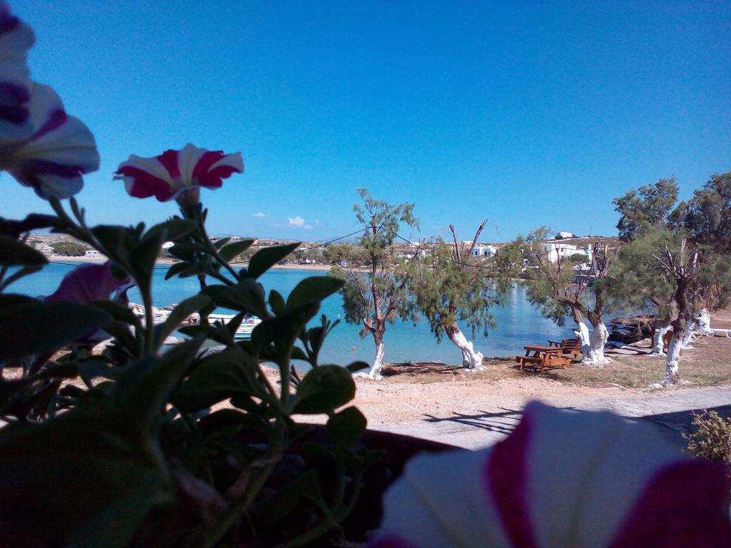 Hotel Bocamviglies By The Sea Naousa  Exterior foto