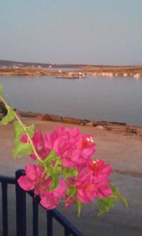Hotel Bocamviglies By The Sea Naousa  Exterior foto